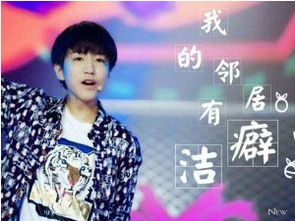 王俊凯动态壁纸主题 